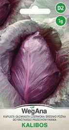 kapusta-czerwona-kalibos-glowiasta-nasiona