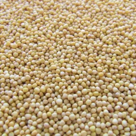 gorczyca-biala-poplon-nasiona-c-1-miododajna-1kg