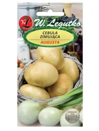 cebula-augusta-zimujaca-nasiona-2g