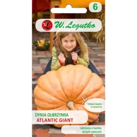 dynia-olbrzymia-atlantic-giant-3g-nasiona