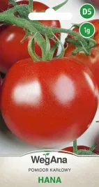 pomidor-hana-karlowy-nasiona-pomidorow-warzyw-wegana