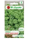 jarmuz-dwarf-green-curled-nasiona