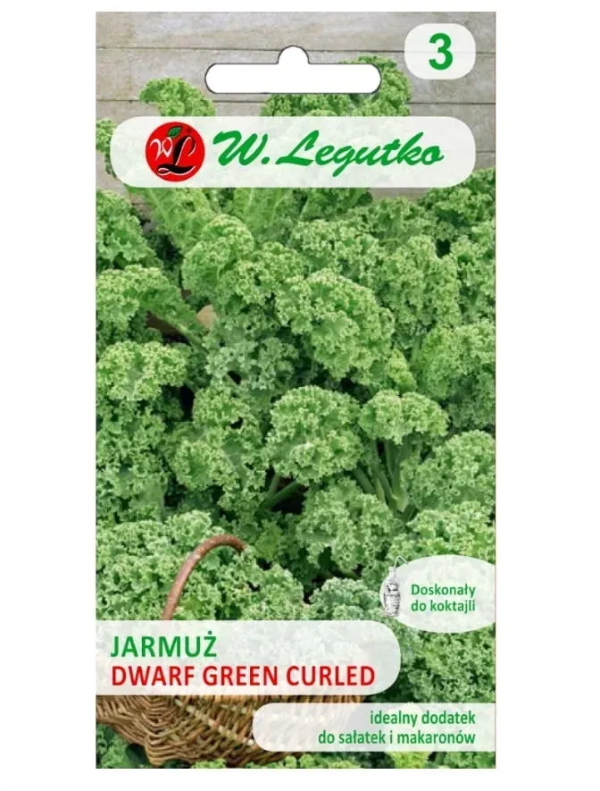 jarmuz-dwarf-green-curled-nasiona