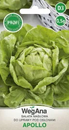 salata-apollo-maslowa-nasiona-do-szklarni-05g