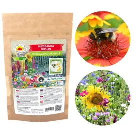 mieszanka-kwiatow-dla-trzmieli-nasiona-100g
