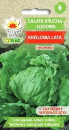salata-lodowa-krucha-krolowa-lata-nasiona