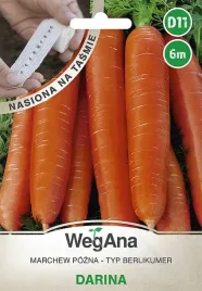 marchew-darina-berlikumer-nasiona-na-tasmie-6m
