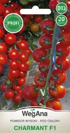 pomidor-charmant-jak-cherry-f1-nasiona-20-szt