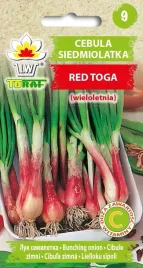 cebula-siedmiolatka-red-toga-nasiona-1g