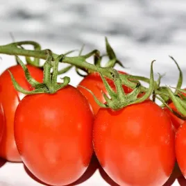 pomidor-malinowy-kapturek-nasiona-cherry-01g