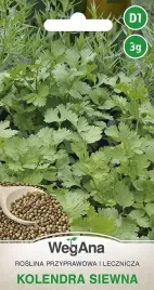 kolendra-siewna-nasiona-ziol-coriandrum-sativum-3g