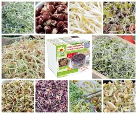 kielkownica-zestaw-nasiona-290g-na-kielki-10-szt