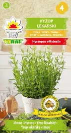 hyzop-lekarski-leczniczy-nasiona-ziola-toraf-05g