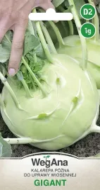 kalarepa-gigant-do-5kg-nasiona-pozna-1g
