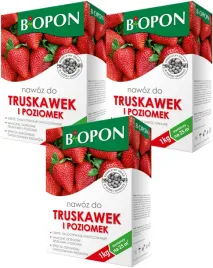 3x-nawoz-do-truskawek-poziomek-granulat-obfite-dlugie-owocowanie-biopon-1kg