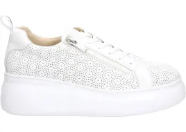 wonders-polbuty-a-2633-41-wild-v-off