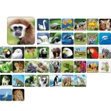 gra-memory-zoo-memo-adamigo-stan-nowy