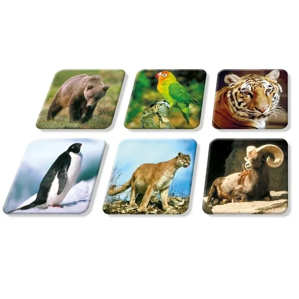 gra-memory-zoo-memo-adamigo-stan-opakowania-oryginalne