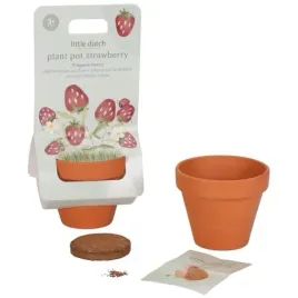 little-dutch-truskawka-do-samodzielnej-uprawy-dla-dzieci-z-doniczka