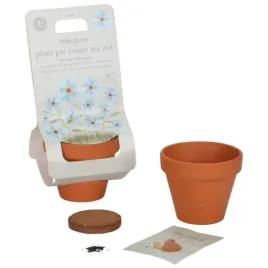 little-dutch-niezapominajka-do-samodzielnej-uprawy-dla-dzieci-z-doniczka