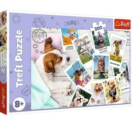 puzzle-300-psy-pieski-zdjecia-z-wakacji-trefl