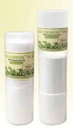 wklad-do-zniczy-olejowy-bio-cereus-10-teleskop