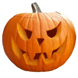 dynia-olbrzymia-big-max-halloween-nasiona-3g