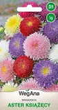 aster-ksiazecy-mieszanka-1g