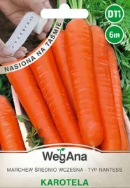 marchew-jadalna-karotela-nasiona-na-tasmie-6m