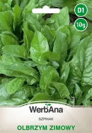 szpinak-olbrzym-zimowy-nasiona-10g