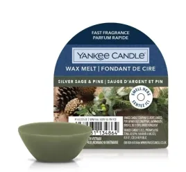 yankee-candle-silver-sage-and-pine-wosk-zapachowy-pudelko-22g
