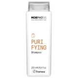 framesi-morphosis-purifying-shampoo-250-ml