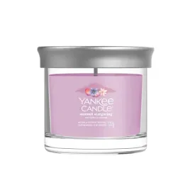 yankee-candle-signature-tumbler-z-1-knotem-summit-stargazing
