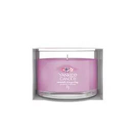 yankee-candle-signature-swieca-mini-summit-stargazing