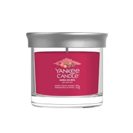 yankee-candle-signature-tumbler-z-1-knotem-santa-on-skis