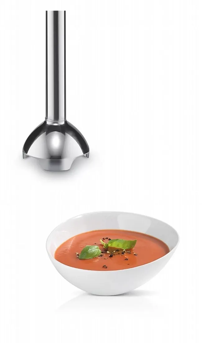 bosch-blender-reczny-msm24100