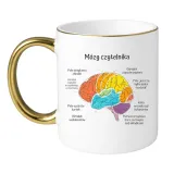 kubek-mozg-czytelnika