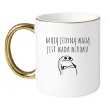 moja-jedyna-wada-jest-wada-wzroku
