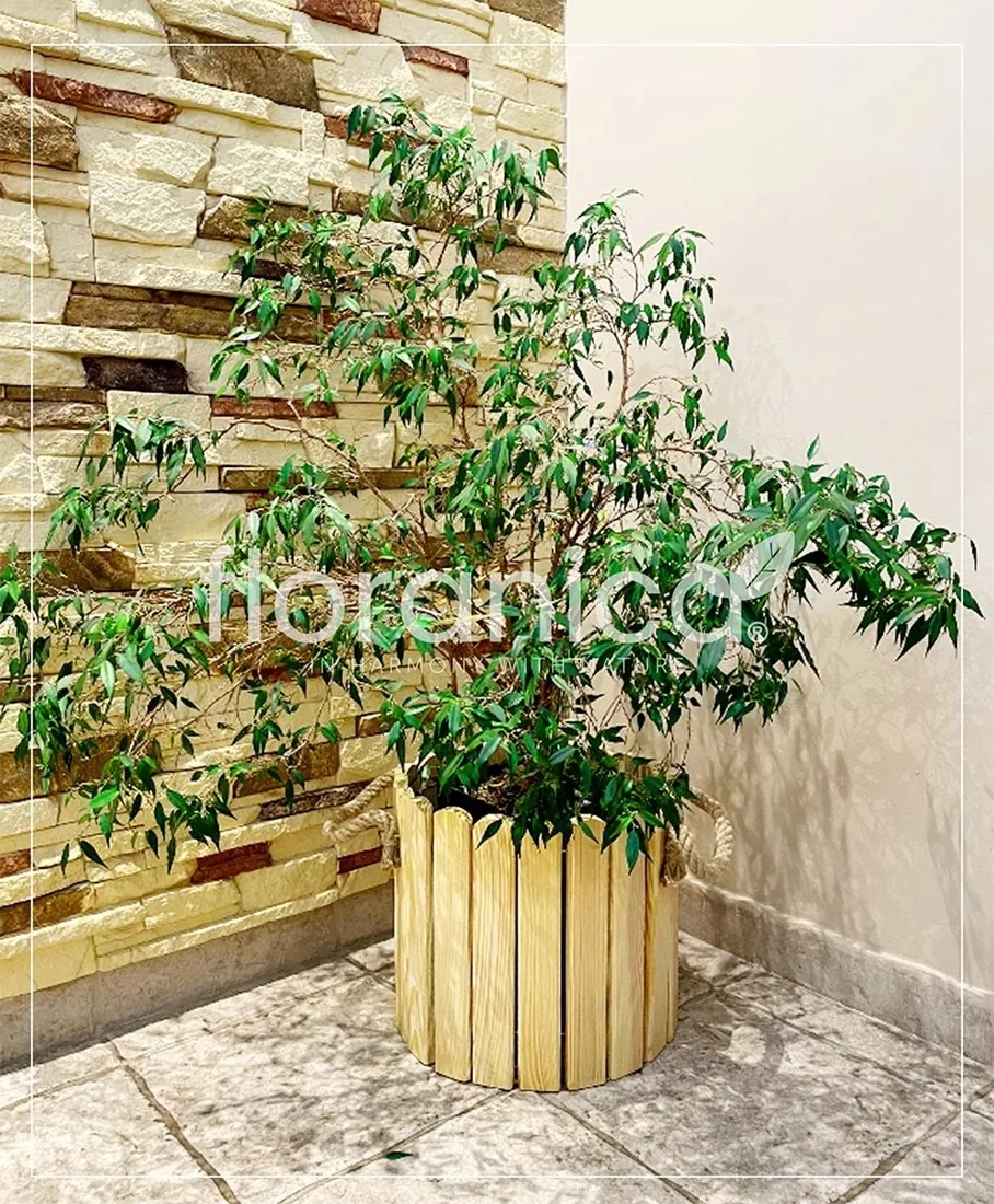 oslonka-33-cm-drewno-brazowy-stan-nowy
