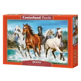 puzzle-castorland-2000-call-of-nature