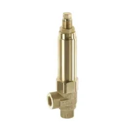 zawor-bezpieczenstwa-svl50-kranzle-ehrle-comet-cat-interpump-hawk-mazzoni