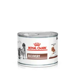 royal-canin-recovery-mokra-karma-dla-psow-i-kotow-podczas-rekonwalescencji
