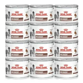 royal-canin-recovery-mokra-karma-dla-psow-i-kotow-podczas-rekonwalescencji