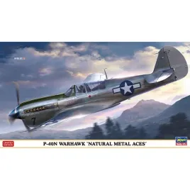 hasegawa-07516-p-40n-warhawk-natural-metal-aces