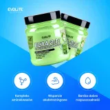 evolite-bcaa-2-1-1-400-g