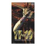 hasegawa-65709-yf-19-advanced-variable-fighter