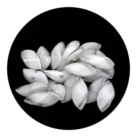 guziki-29-x-12mm-tunel-10szt-bialy