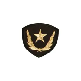 naszywka-na-ubranie-termo-aplikacja-pa3-089-c1-14j-10szt