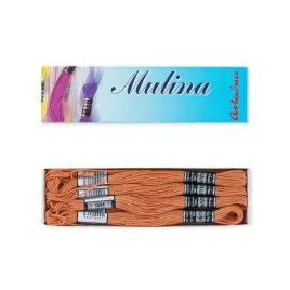 mulina-nic-do-haftu-12x8mb-op-jasny-brazowy-1534