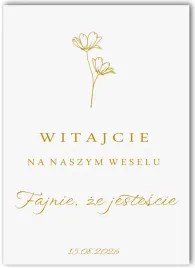 naklejka-powitalna-witajcie-na-na-scianke-lustro-balon-slub-42x47-nakc037